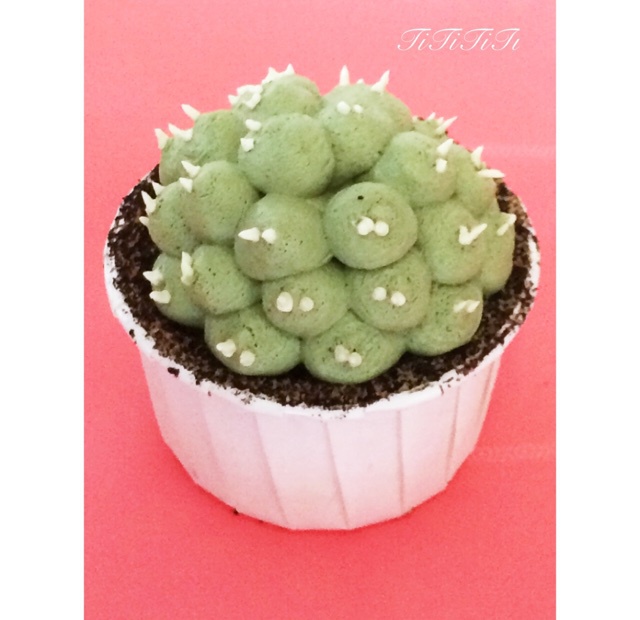 多肉植物仙人球杯子蛋糕（抹茶草莓可可cupcake）
