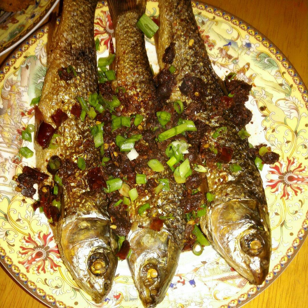 湘蒸火培鱼的全部作品