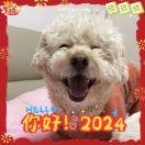 小脑斧_gf2o