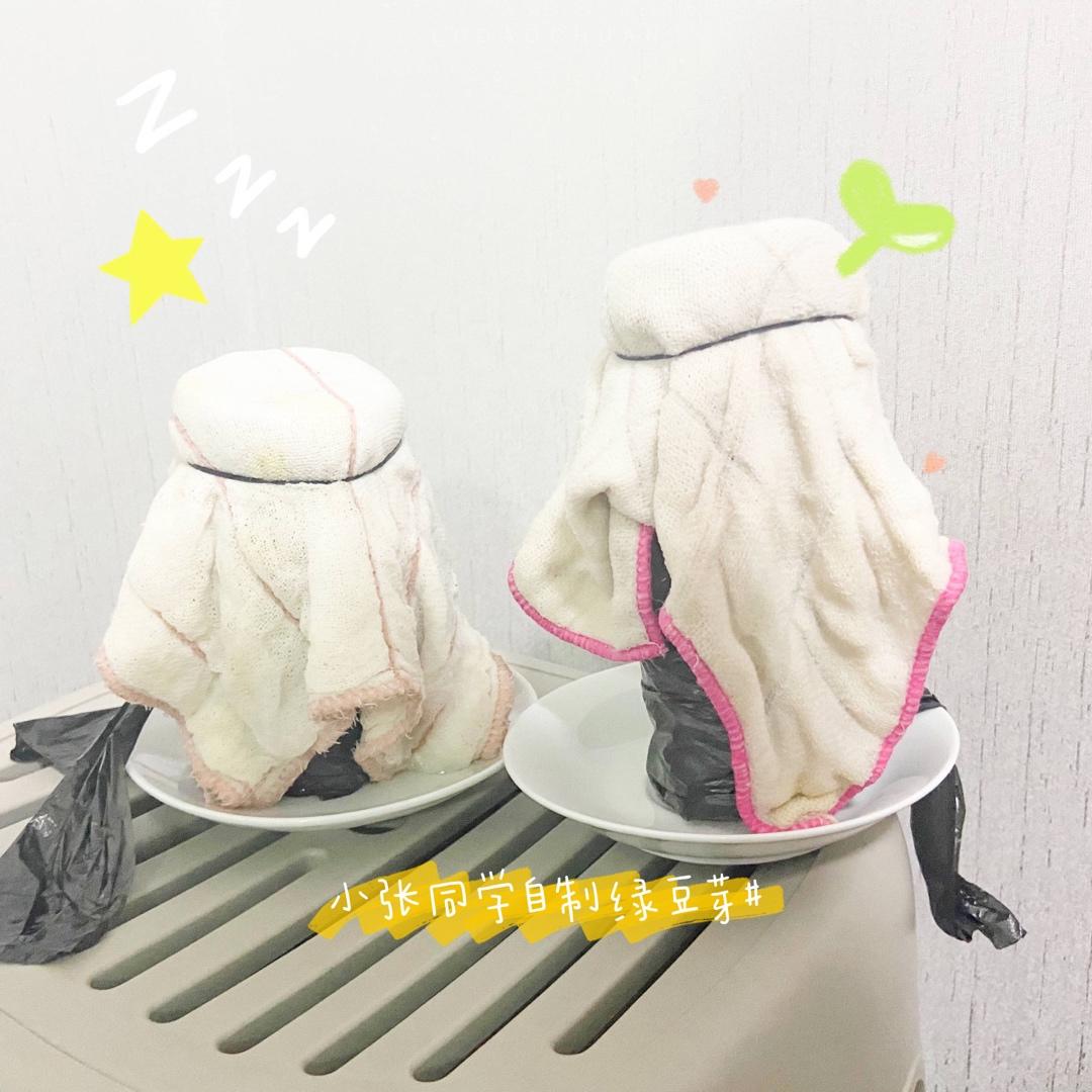 自发豆芽（可乐瓶发豆芽0失败！）