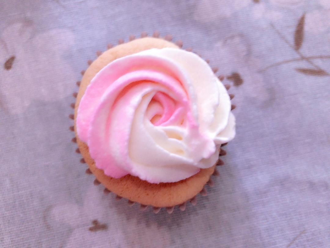 不回缩杯子蛋糕cupcake