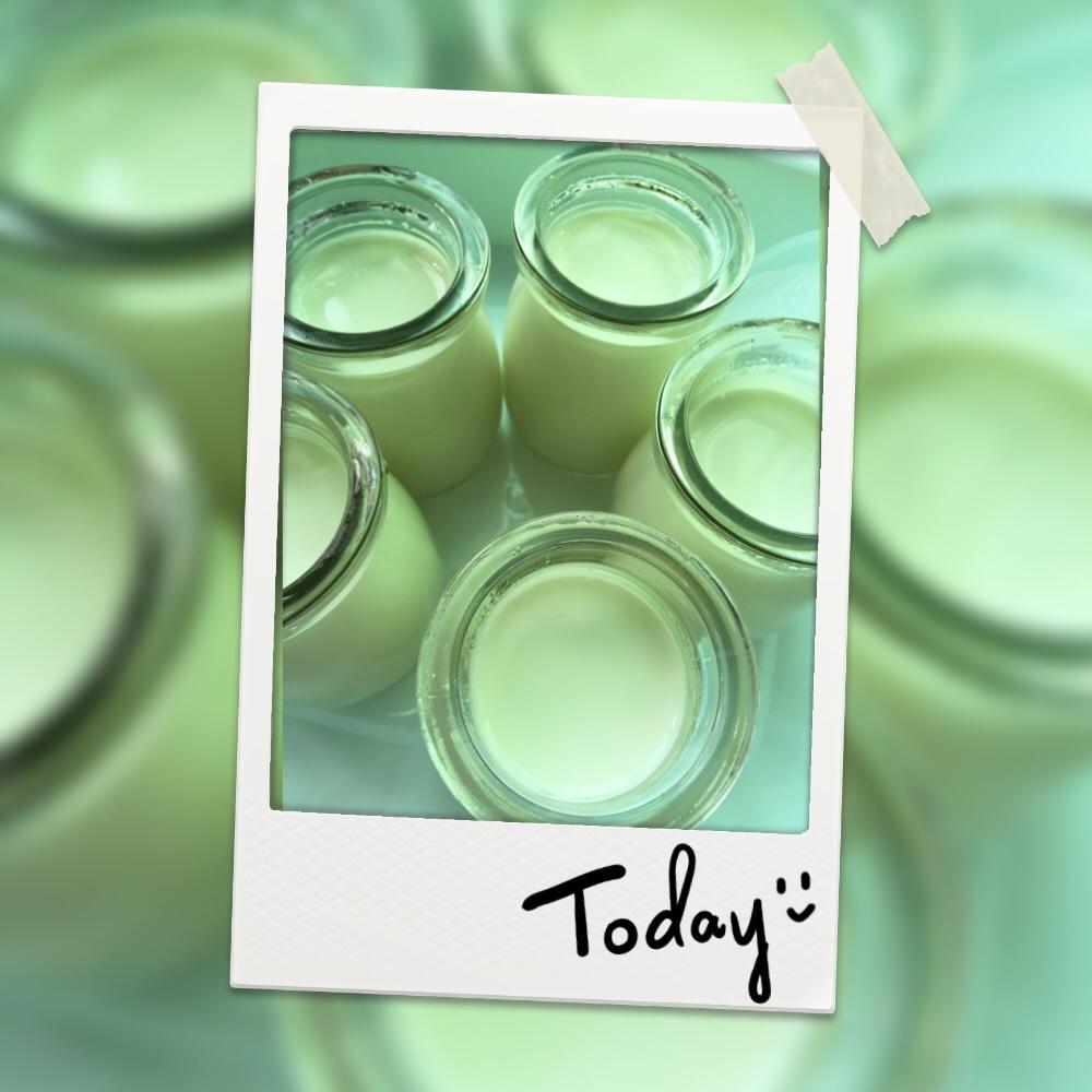 自制酸奶的做法