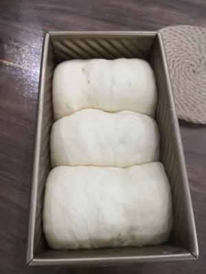 简易版冷藏发酵，可做松软的面包，土司的做法 步骤5