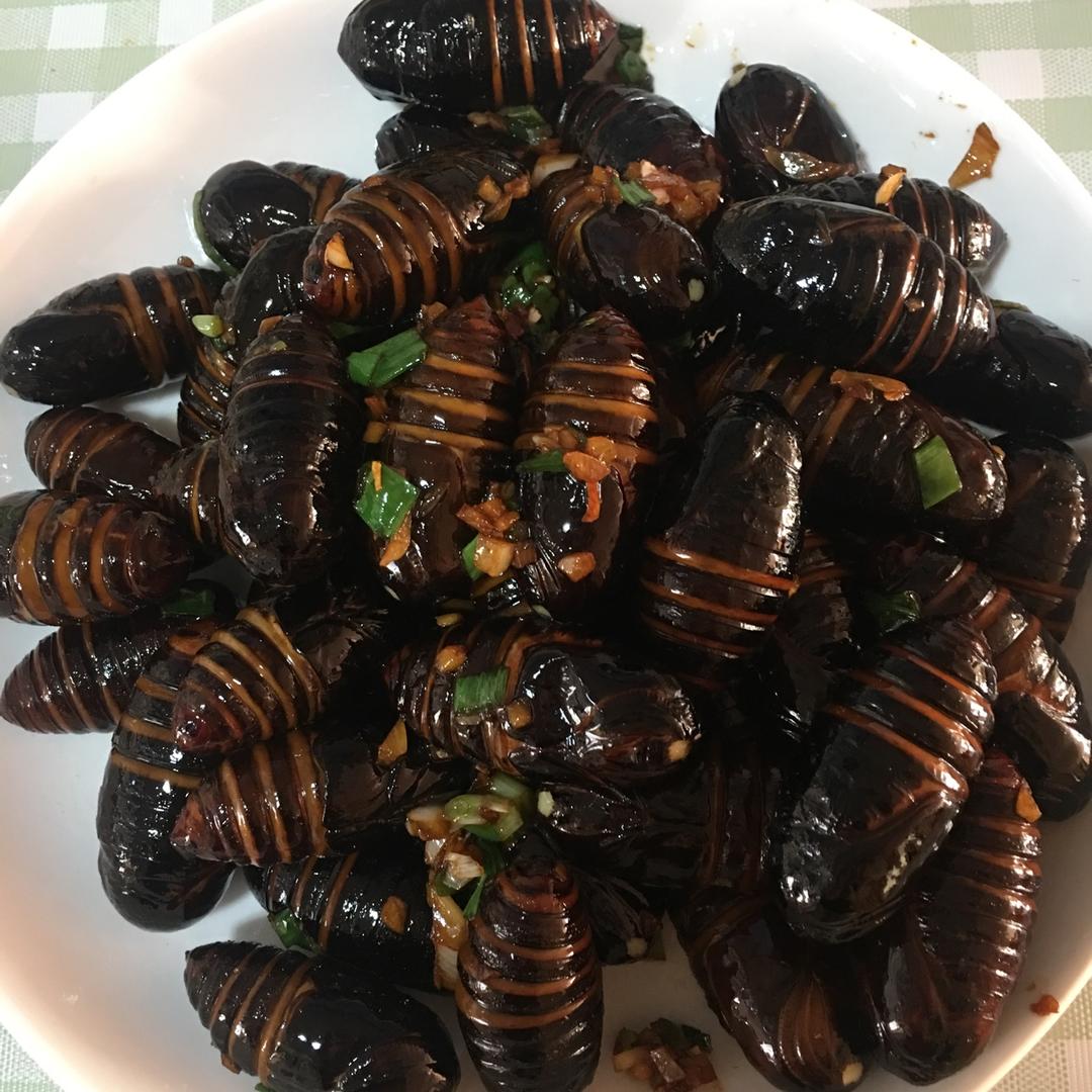 不睡觉打poss做的家常炒茧蛹
