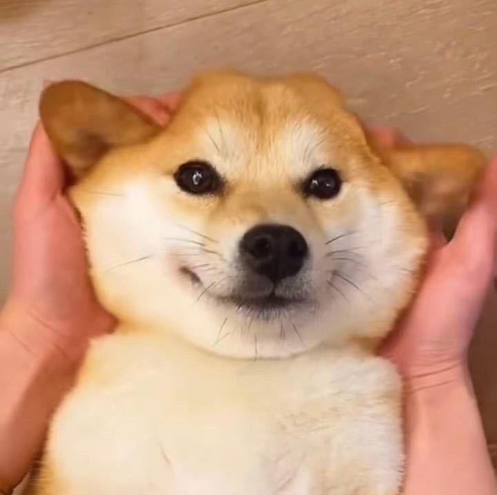 宇安同学