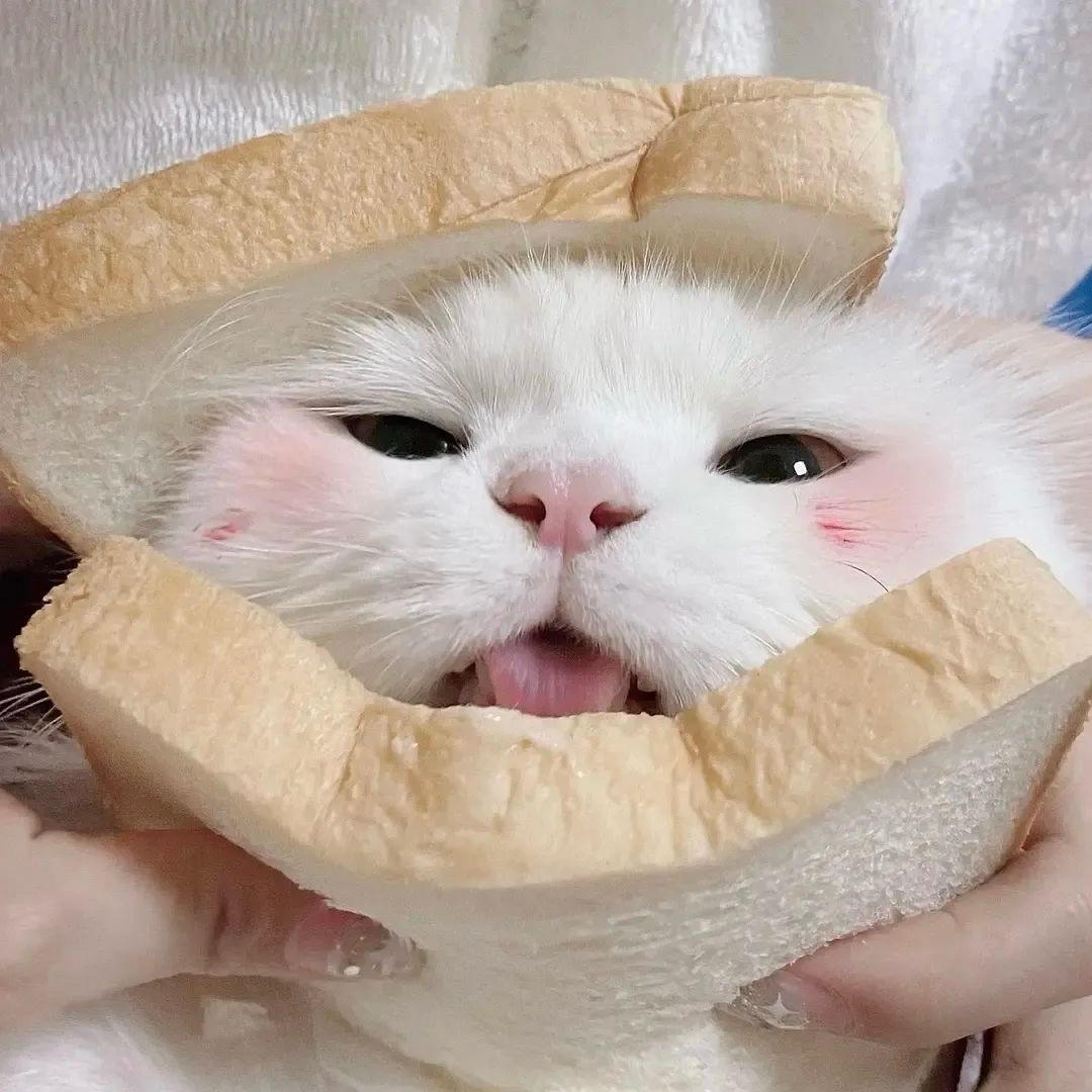 似此星辰_zzz