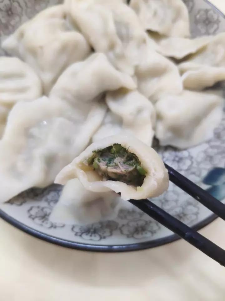 牛肉茴香馅饺子