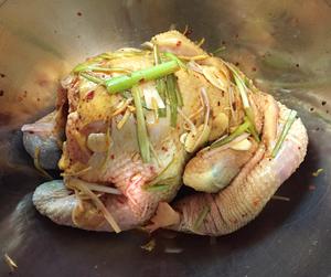 #坤博砂锅干烧鸡#的做法 步骤3