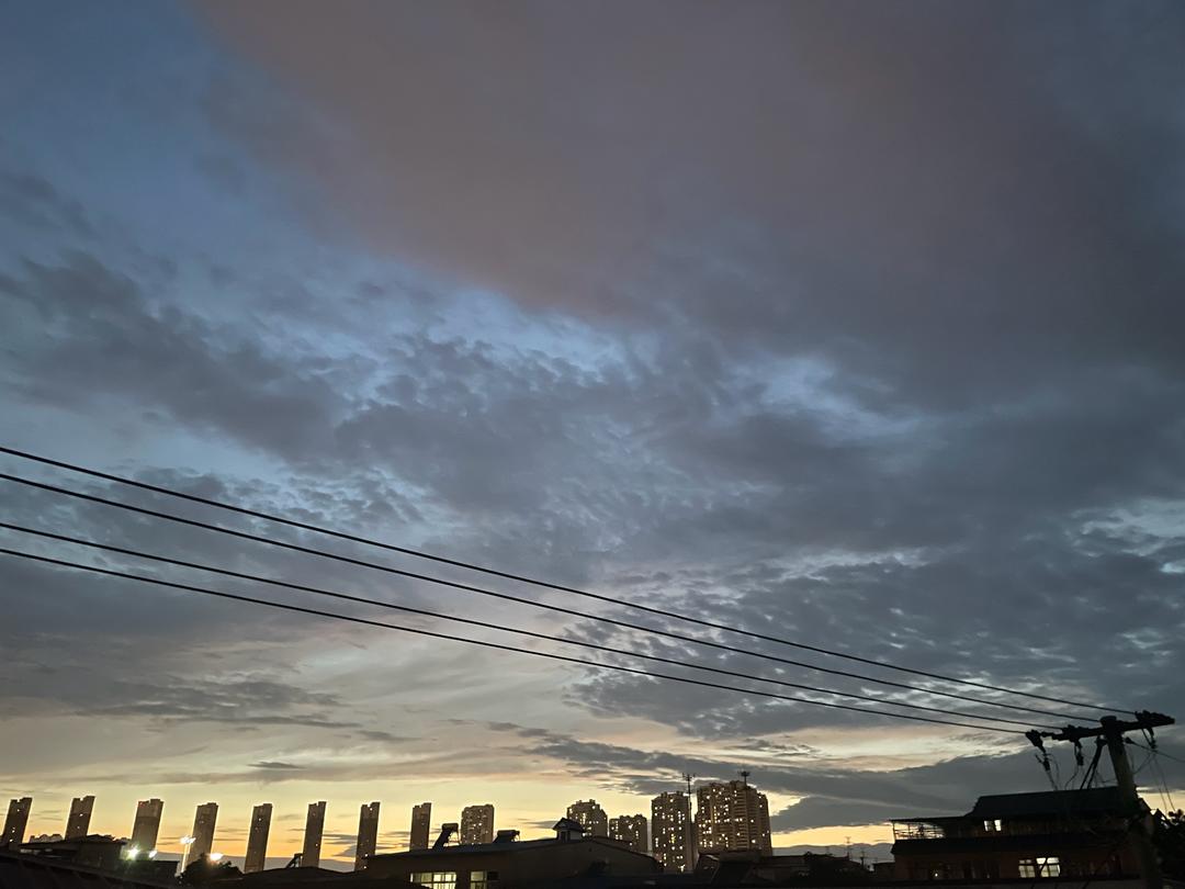 武大郎烧饼(掉渣饼)