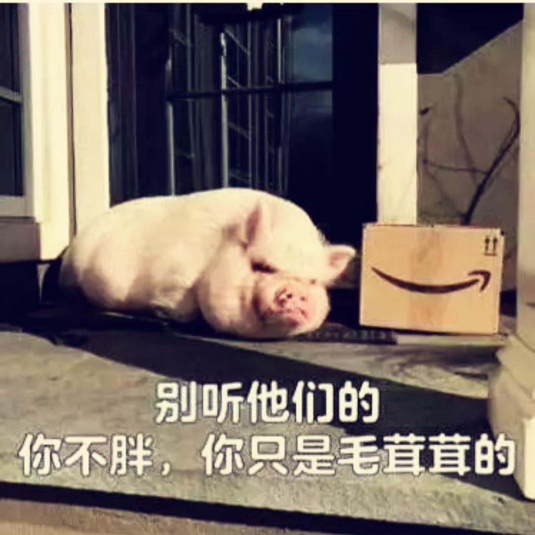 我真的一点也不胖