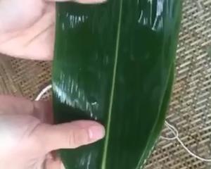 四角长粽子的包法（有视频）的做法 步骤1