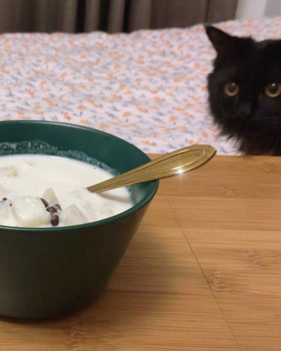 冬日甜品「芋头红豆炖牛奶」