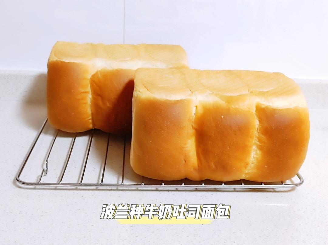 波兰种牛奶吐司