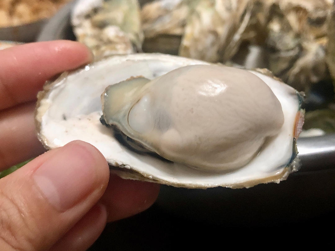 简单3分钟蒸生蚝🦪