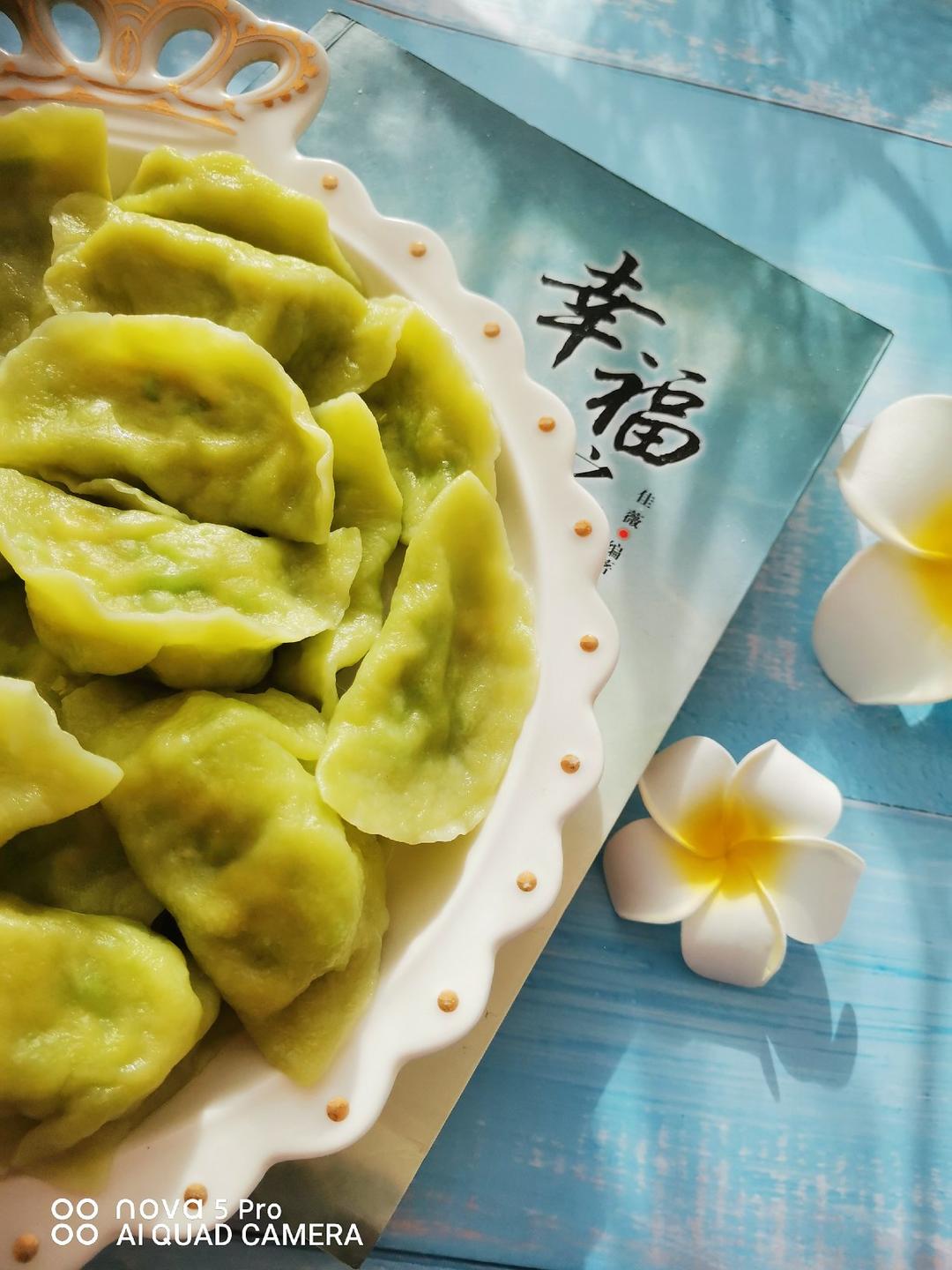 西葫芦水饺（家常菜 快手）