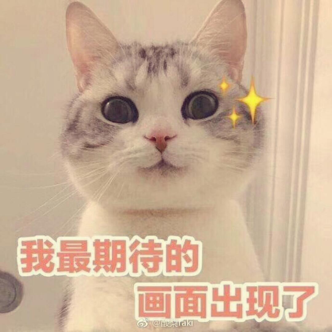 尔东小不点