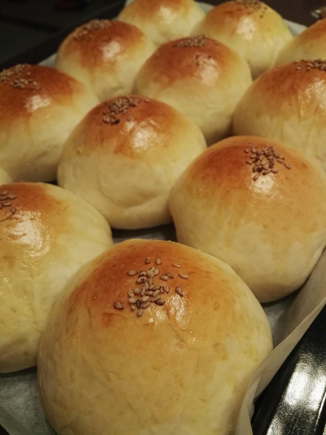 一次发酵——超级无敌懒人快手椰蓉小餐包