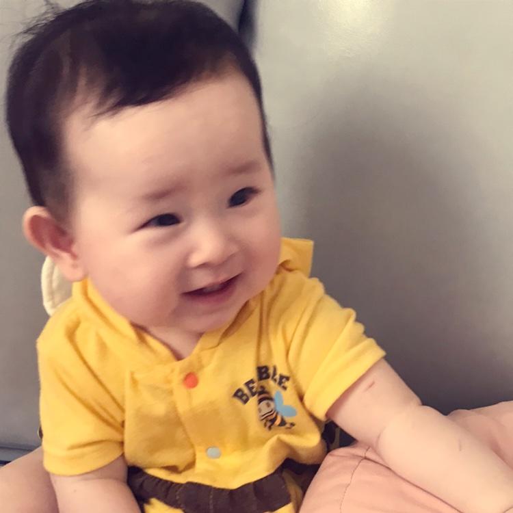 大毛和小喵