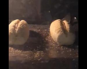 全麦短棍面包/低糖低油面包系列（7）的做法 步骤16