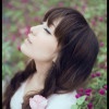 柠檬+蜜