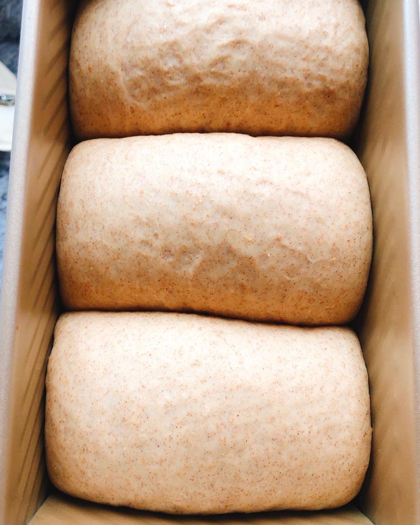 柔软拉丝的100%全麦麦片吐司（一次发酵）