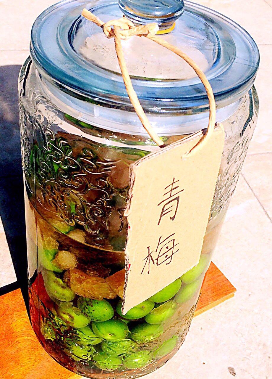 苹果狗做的周末在厨房泡水果酒