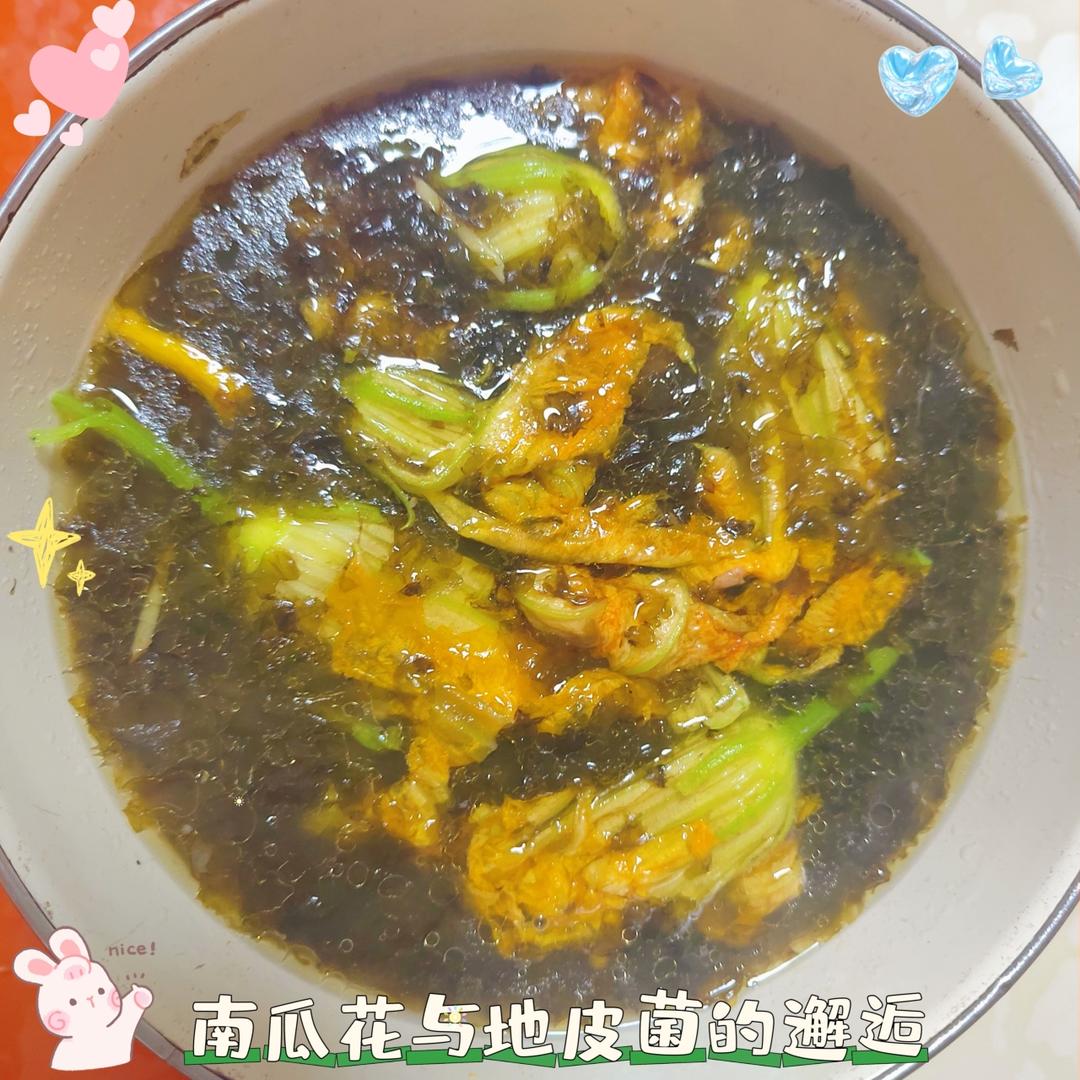 地皮菌肉末汤
