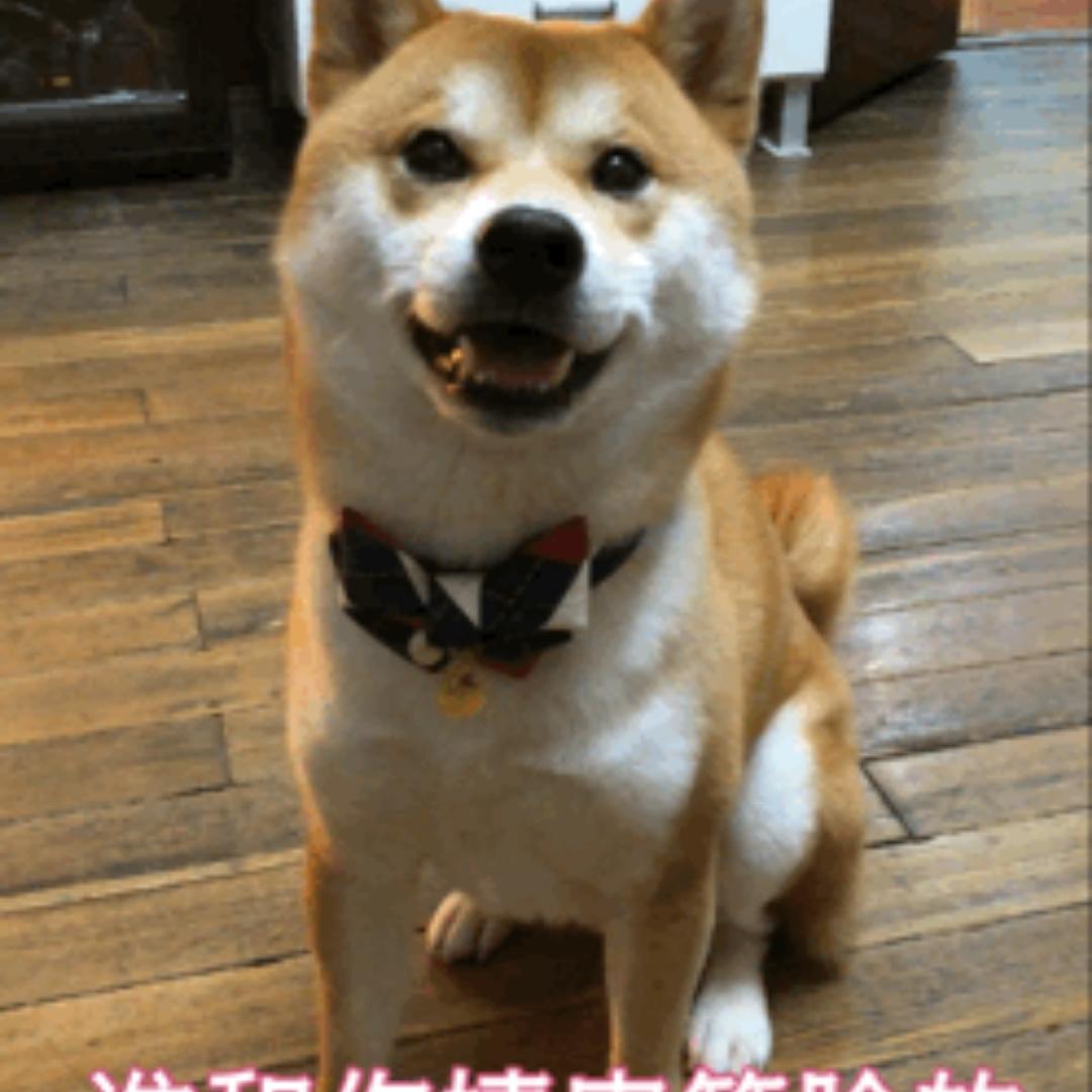 心血来潮学做饭的猴宝宝