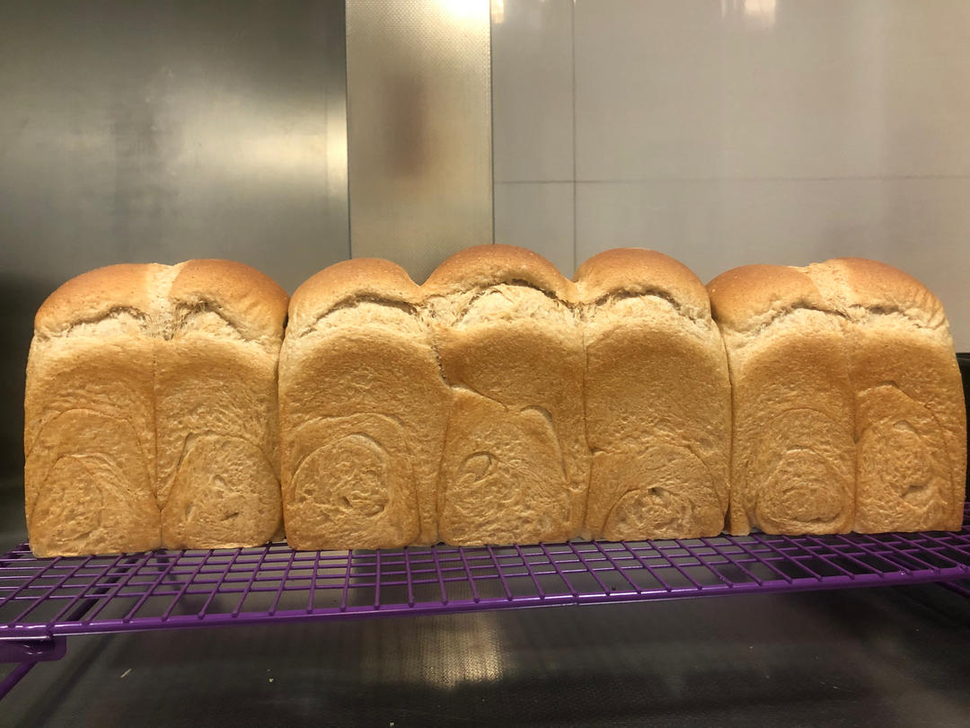 波兰种全麦吐司（40%全麦）