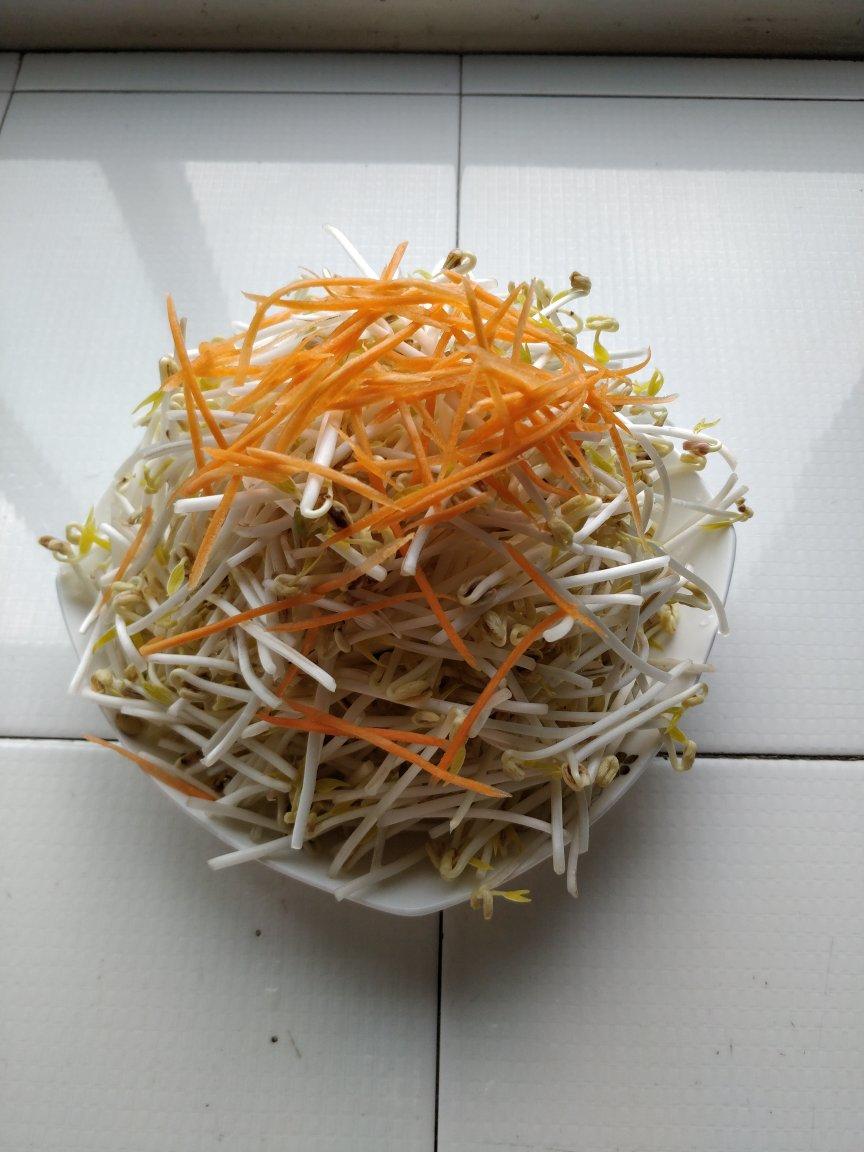 自发绿豆芽/自生豆芽/自制豆芽