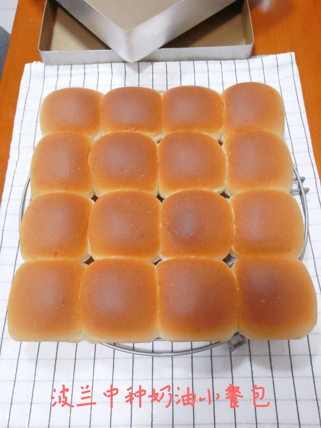 又香又软又拉丝，咬一口奶香十足！超治愈的淡奶油波兰种小餐包