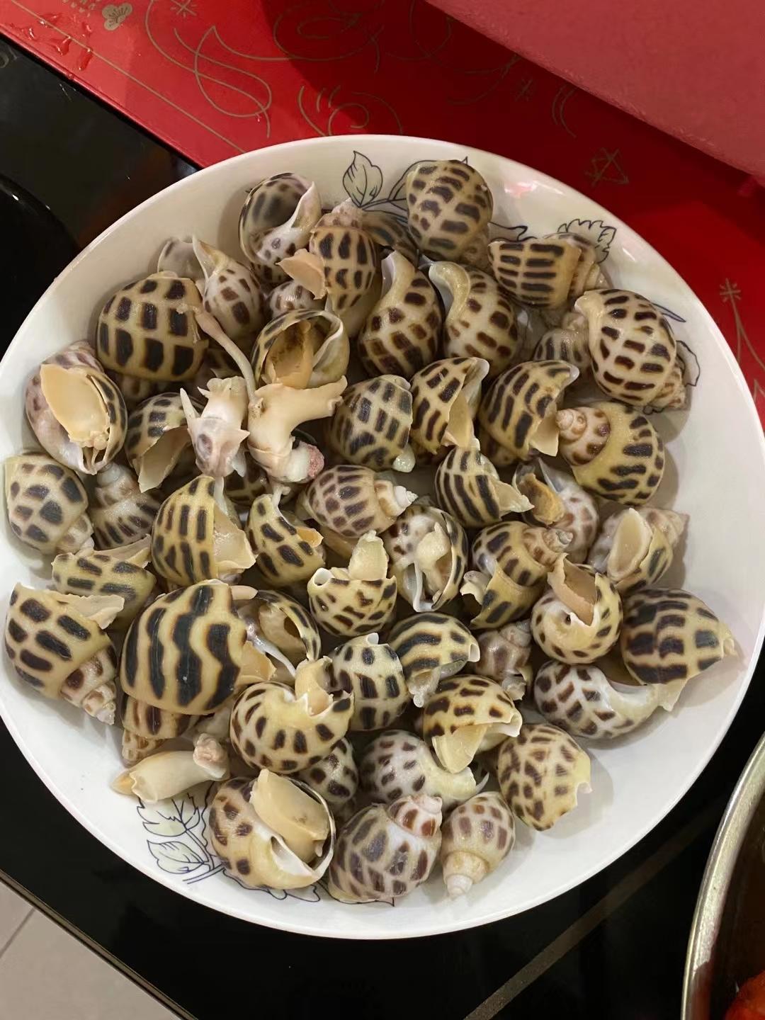 白灼花螺