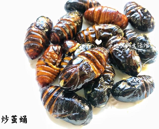 东北沈阳炒茧蛹，特简单超好吃，保姆级教程，不断更新改良