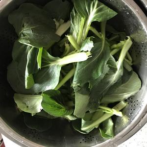蒜泥青菜的做法 步骤1
