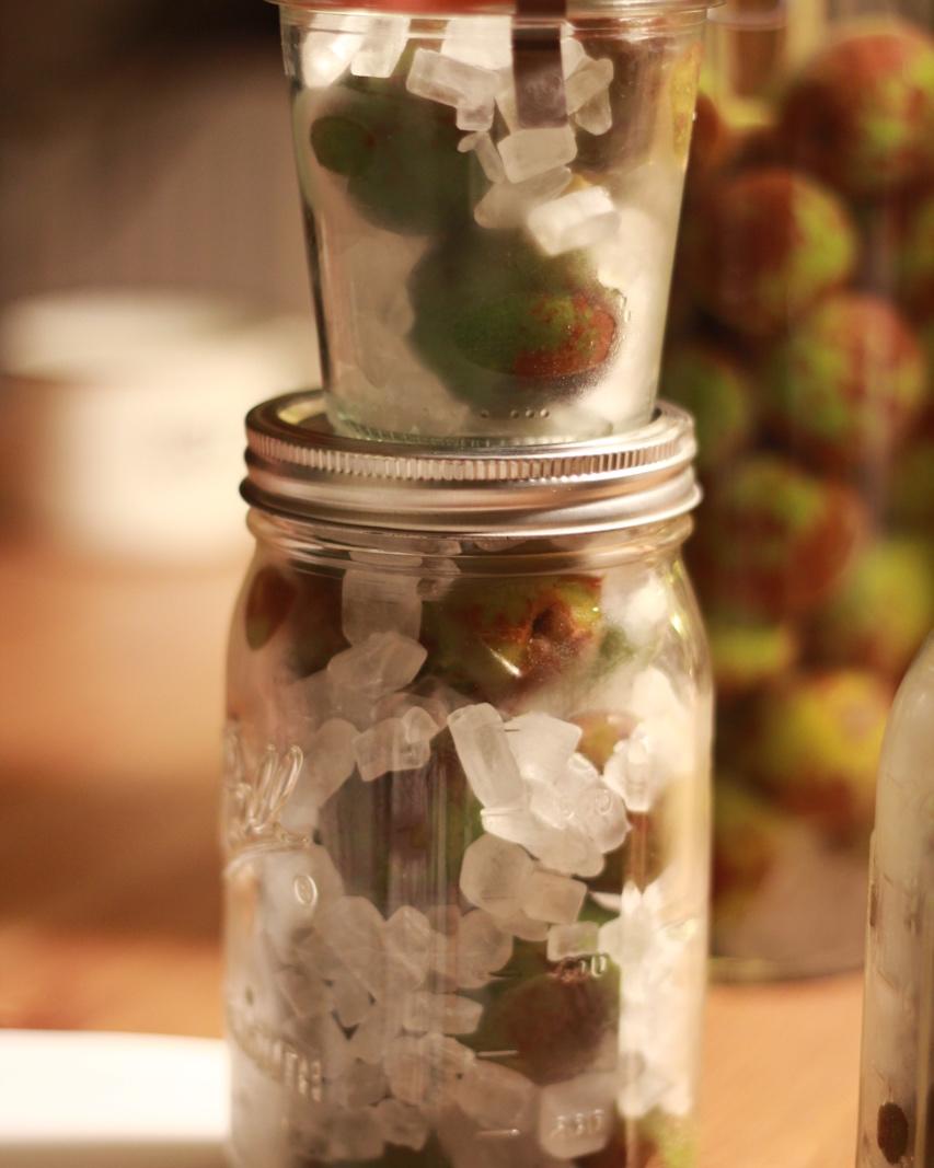 青梅汁/青梅糖浆/青梅酒