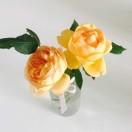 守得云开见月明-9