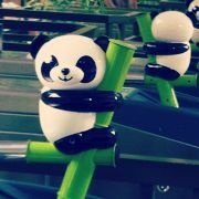 绯红骄阳
