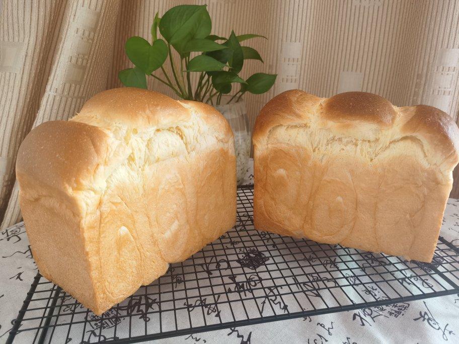 北海道巨蛋吐司