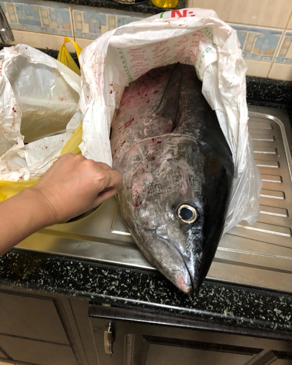 金枪鱼头生鱼片