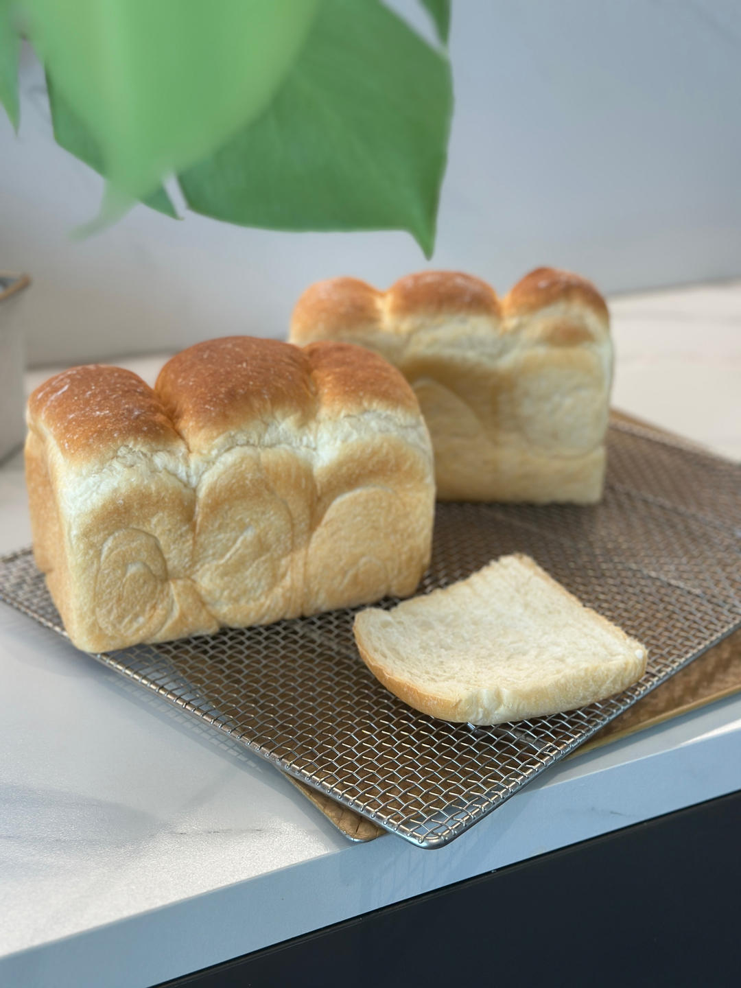 银座顶级烫种生吐司｜90%大水量