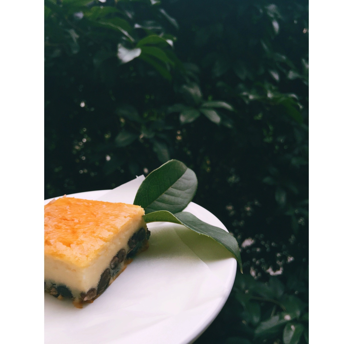 红豆乳酪蛋糕