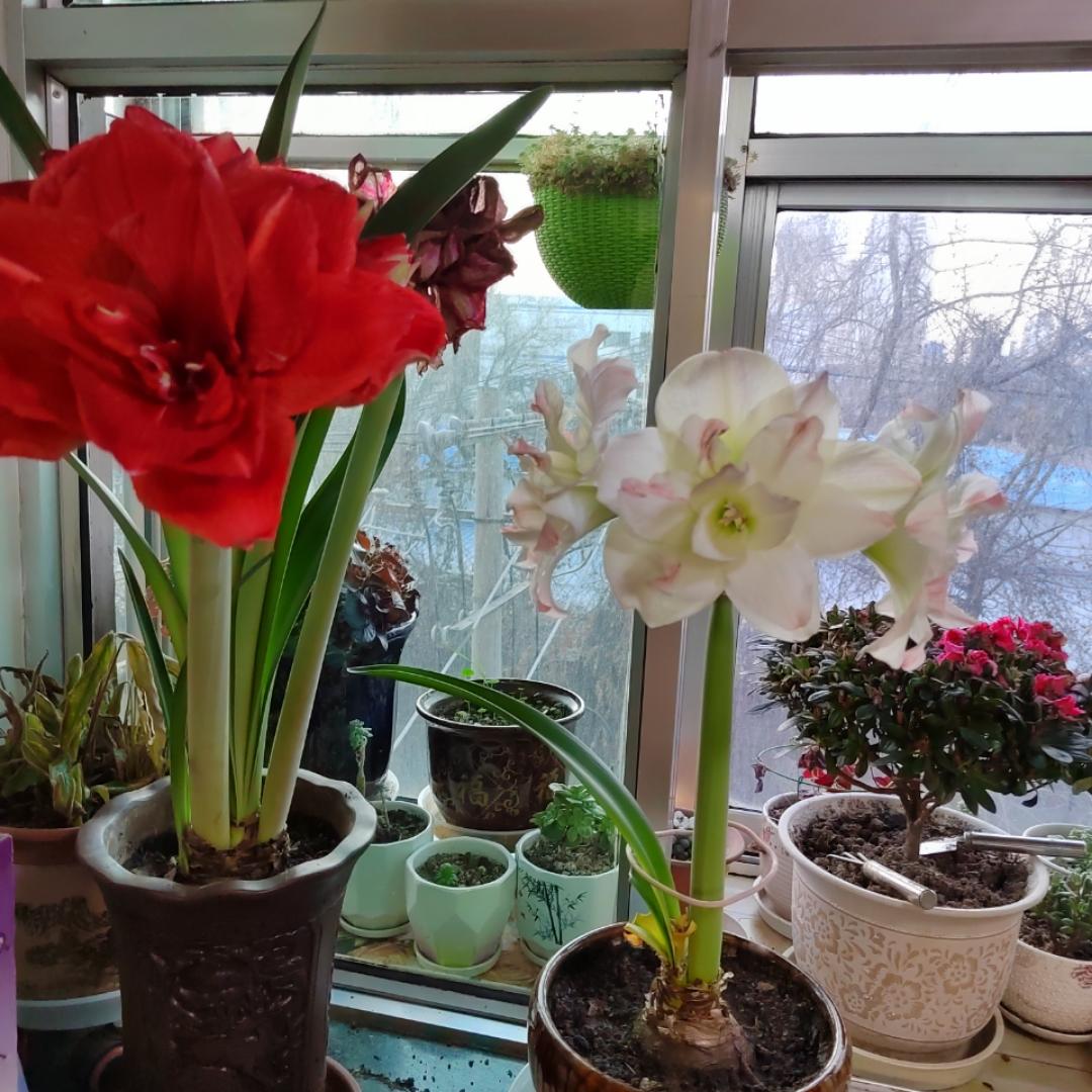 下厨房用户_myuxb