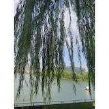 手机用户4833_ungp