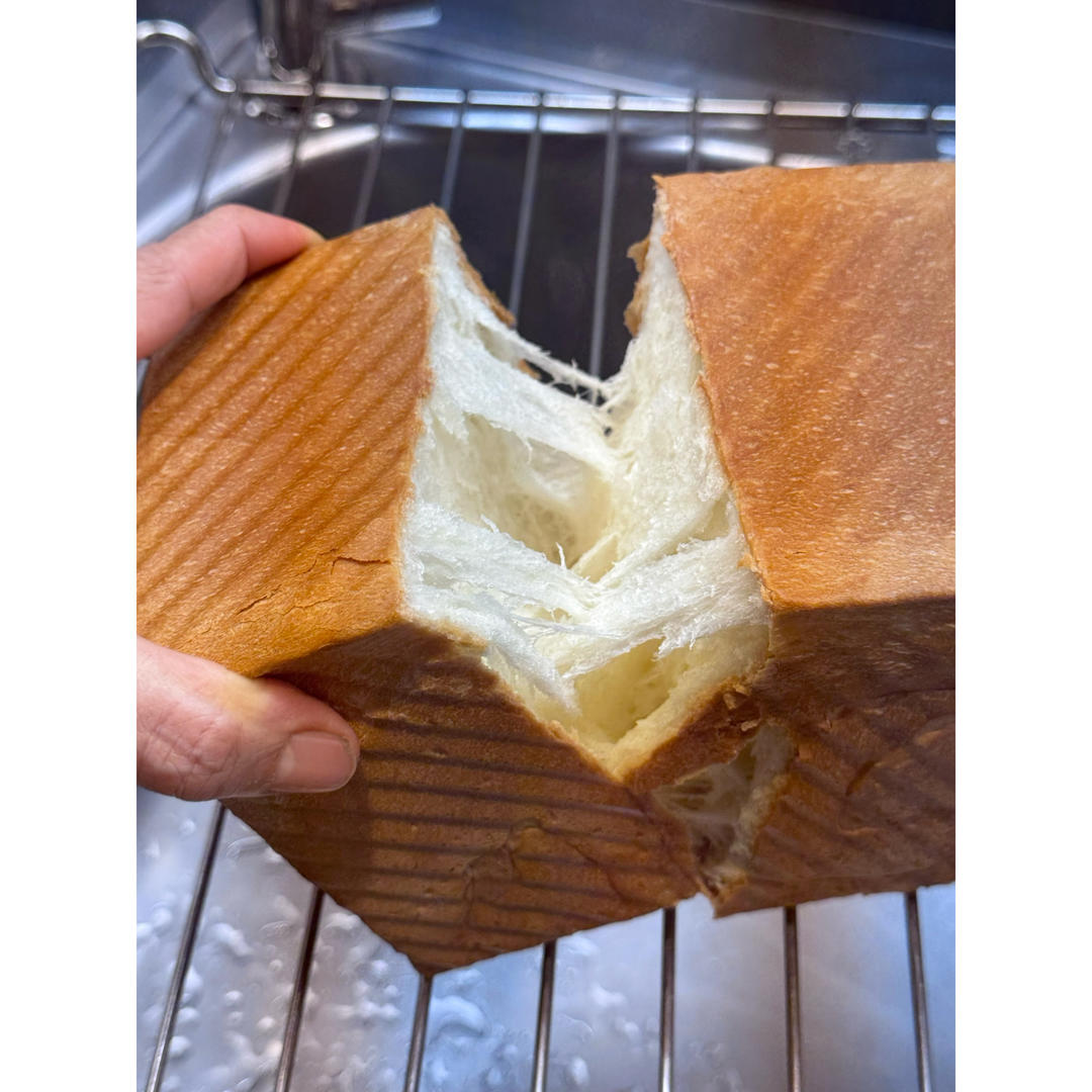 軟噗噗糯嘰嘰，放三天都不會干的波蘭種煉乳小餐包