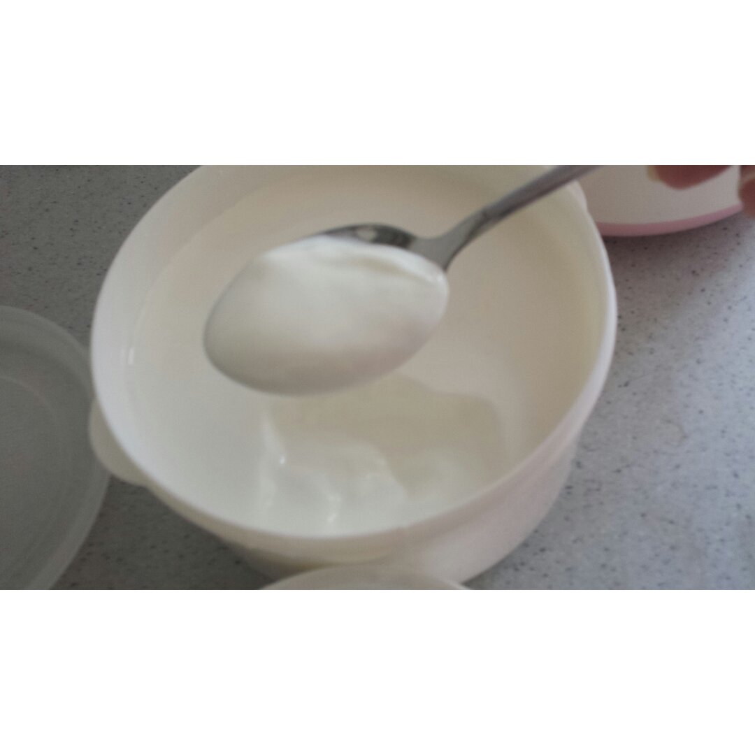 自制酸奶