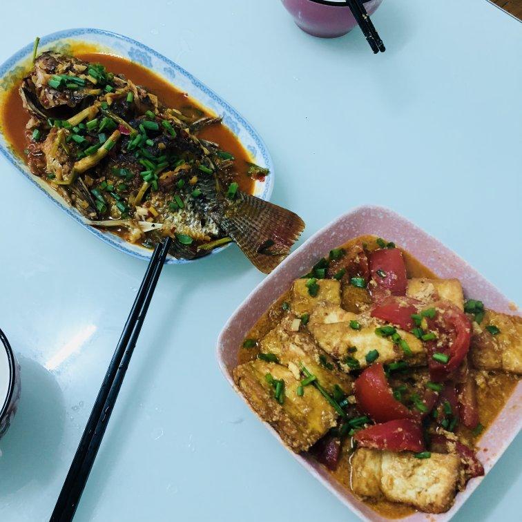 西红柿烧豆腐