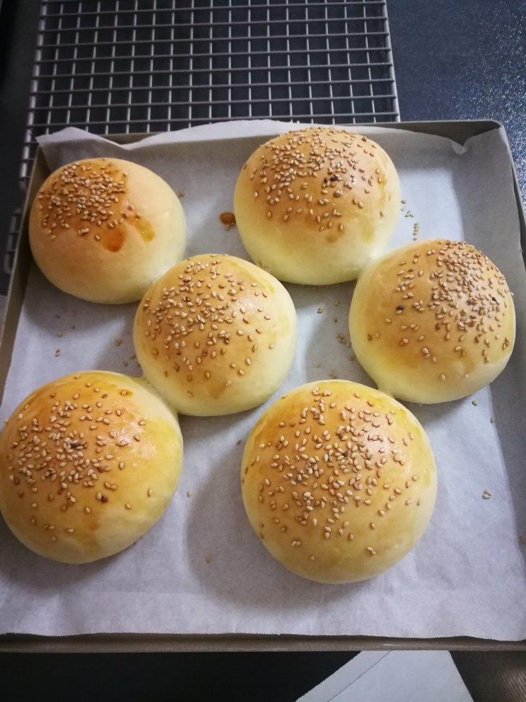 汉堡胚 poolish（波兰种）