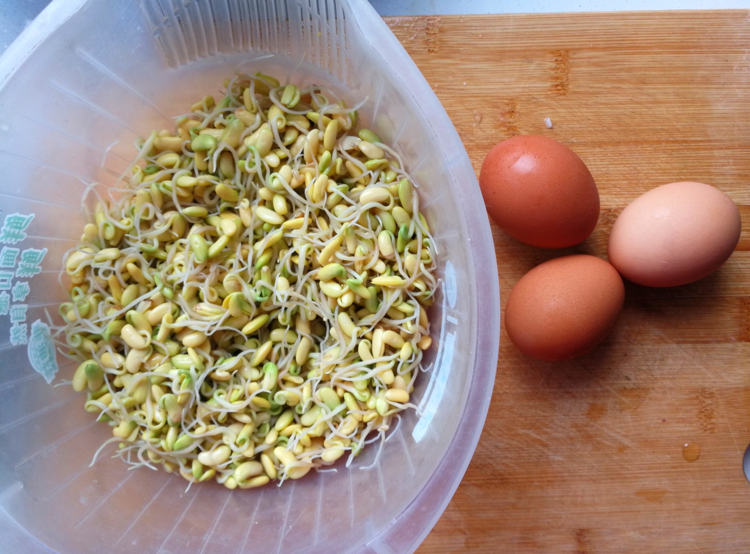 黑豆芽炒鸡蛋（快手菜）的做法 步骤5