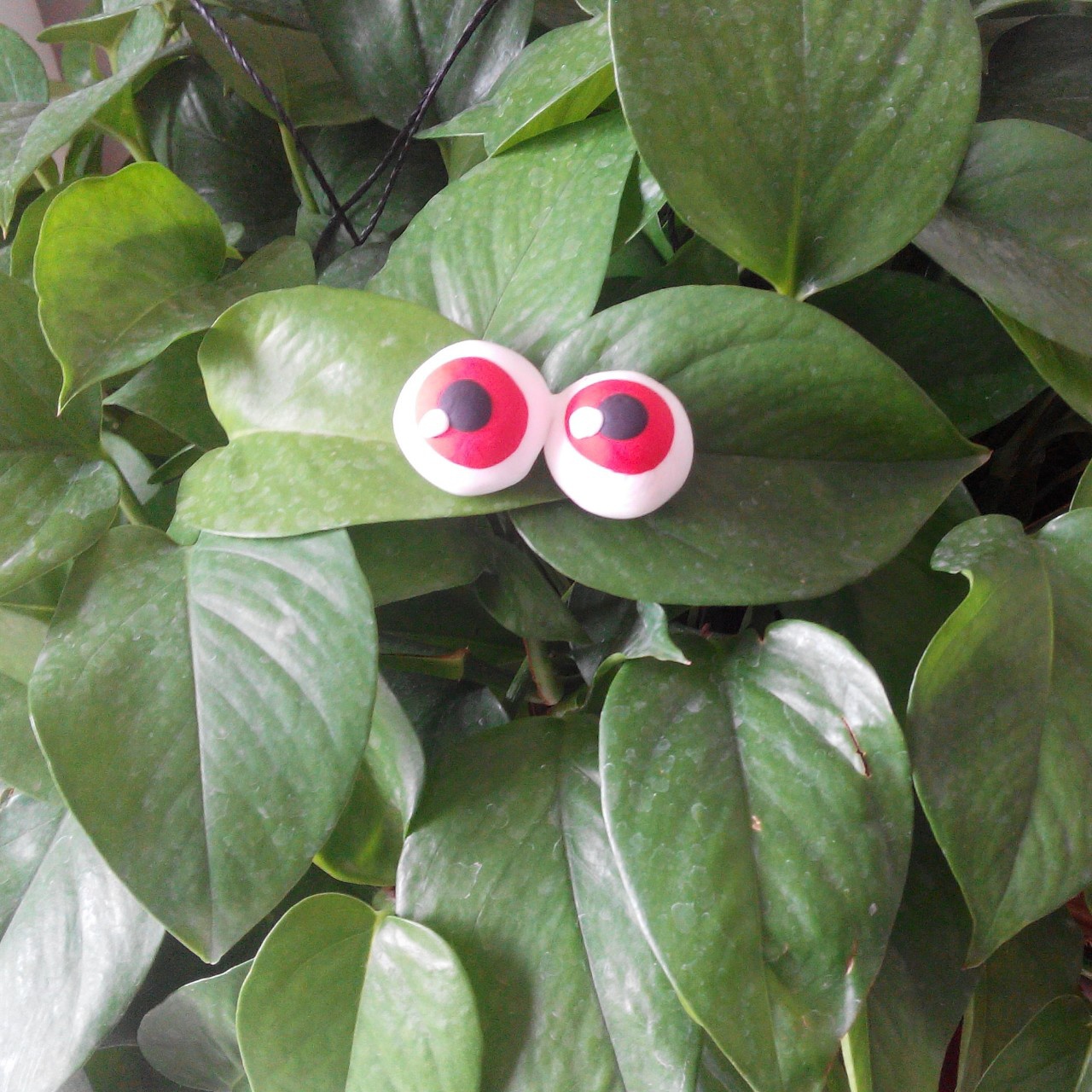 【万圣节】万圣节眼球团子—美的M3-L235C变频智能微波炉