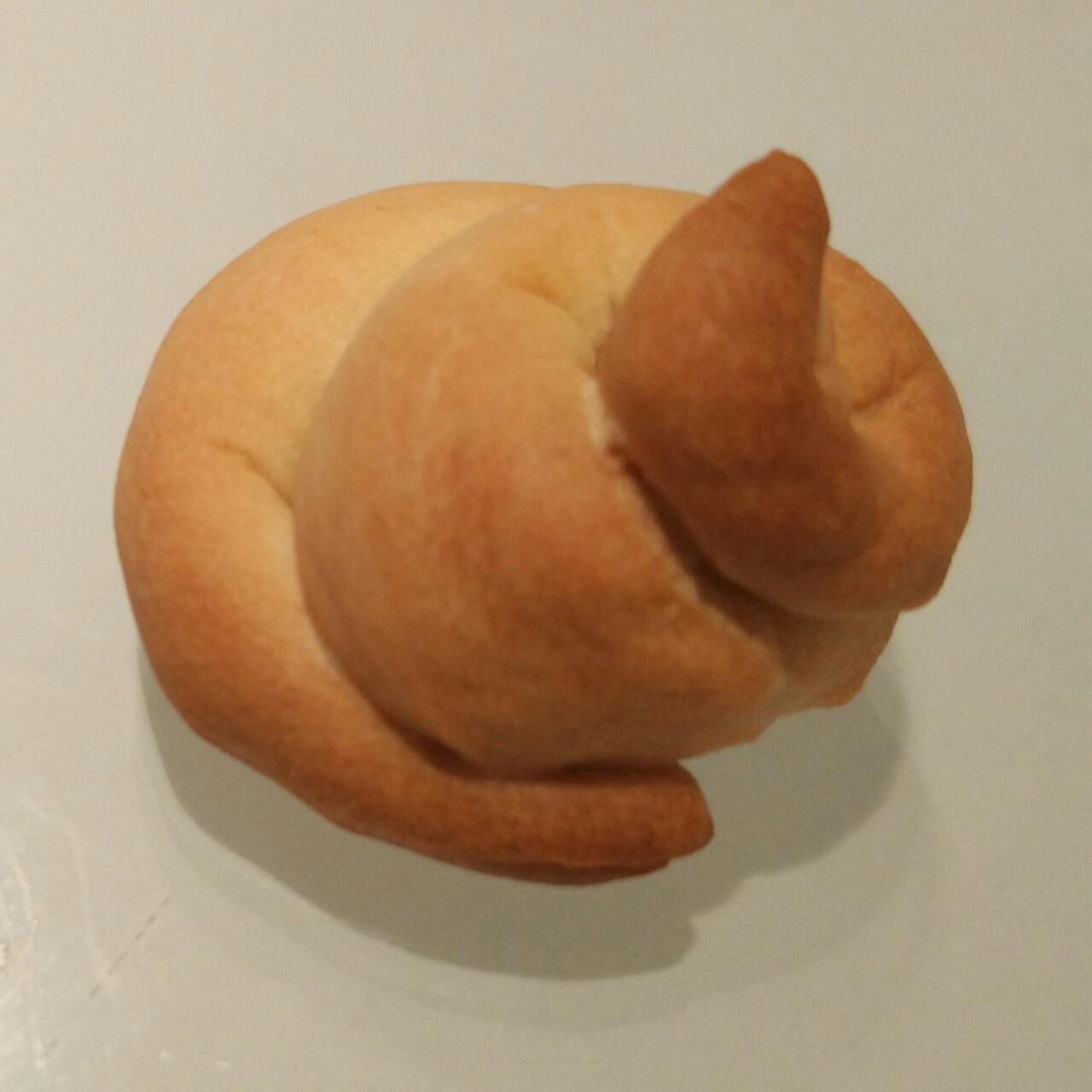 华彩初上的厨房